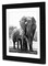 Americanflat 11x11 Picture Frame in Black - Displays 8x8 With Mat and 11x11 Without Mat - Composite Wood with Shatter Resistant Glass - Horizontal and Vertical Formats for Wall